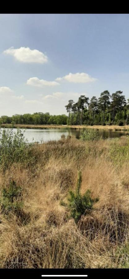 Safarihuisje Met Airco! Oisterwijk Ngoại thất bức ảnh